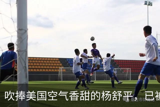 吹捧美国空气香甜的杨舒平，已被美国驱逐出境，回国后处境悲凉