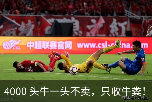 4000 头牛一头不卖，只收牛粪！广西汉靠 “屎” 逆袭，狂赚上亿身家